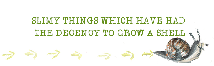 SLIMY THINGS WHICH HAVE HAD THE DECENCY TO GROW A SHELL